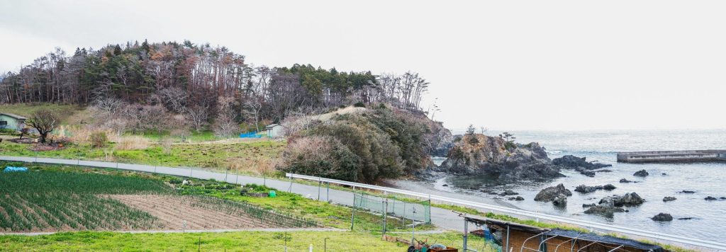 【岩手県大船渡市 山火事】山林火災からの生活再建を後押し――農漁家へ必要な作業用資材を支援 1 %E6%B5%B7%E3%81%A8%E7%95%91%E6%99%AF%E8%89%B2