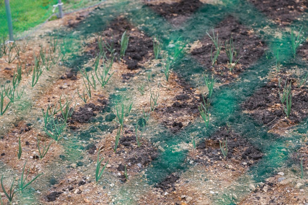 【岩手県大船渡市 山火事】山林火災からの生活再建を後押し――農漁家へ必要な作業用資材を支援 5 PW C2549