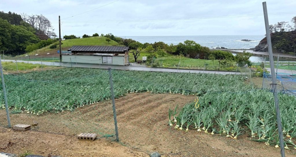 【岩手県大船渡市 山火事】山林火災からの生活再建を後押し――農漁家へ必要な作業用資材を支援 6 %E7%8E%89%E3%81%AD%E3%81%8E