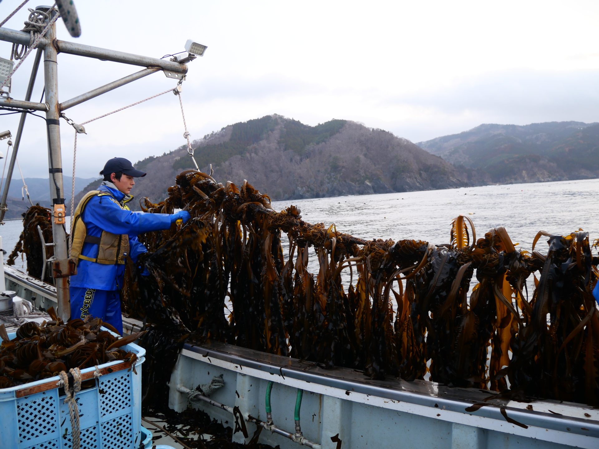 【岩手県大船渡市 山火事】春の訪れを告げるワカメ漁を支える。なりわい支援を通して学ぶ被災地の魅力