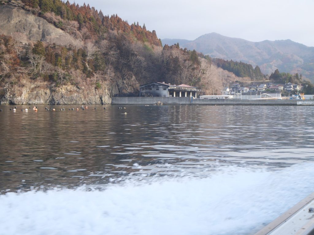 【岩手県大船渡市 山火事】春の訪れを告げるワカメ漁を支える。なりわい支援を通して学ぶ被災地の魅力 3 P1036629