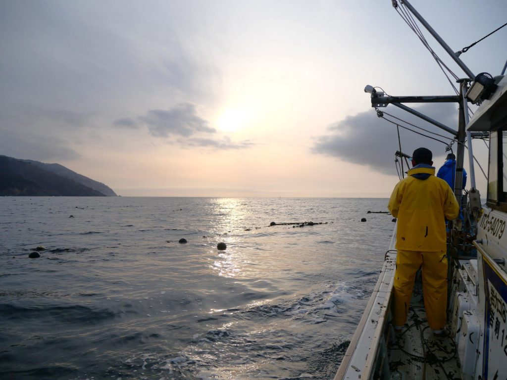 【岩手県大船渡市 山火事】春の訪れを告げるワカメ漁を支える。なりわい支援を通して学ぶ被災地の魅力 5 P1036619