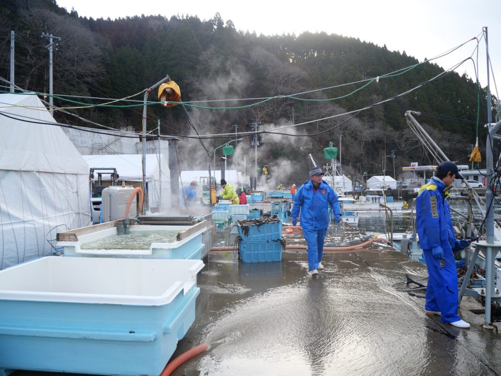 【岩手県大船渡市 山火事】春の訪れを告げるワカメ漁を支える。なりわい支援を通して学ぶ被災地の魅力 9 P1036632