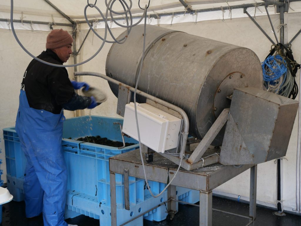 【岩手県大船渡市 山火事】春の訪れを告げるワカメ漁を支える。なりわい支援を通して学ぶ被災地の魅力 12 P1036533