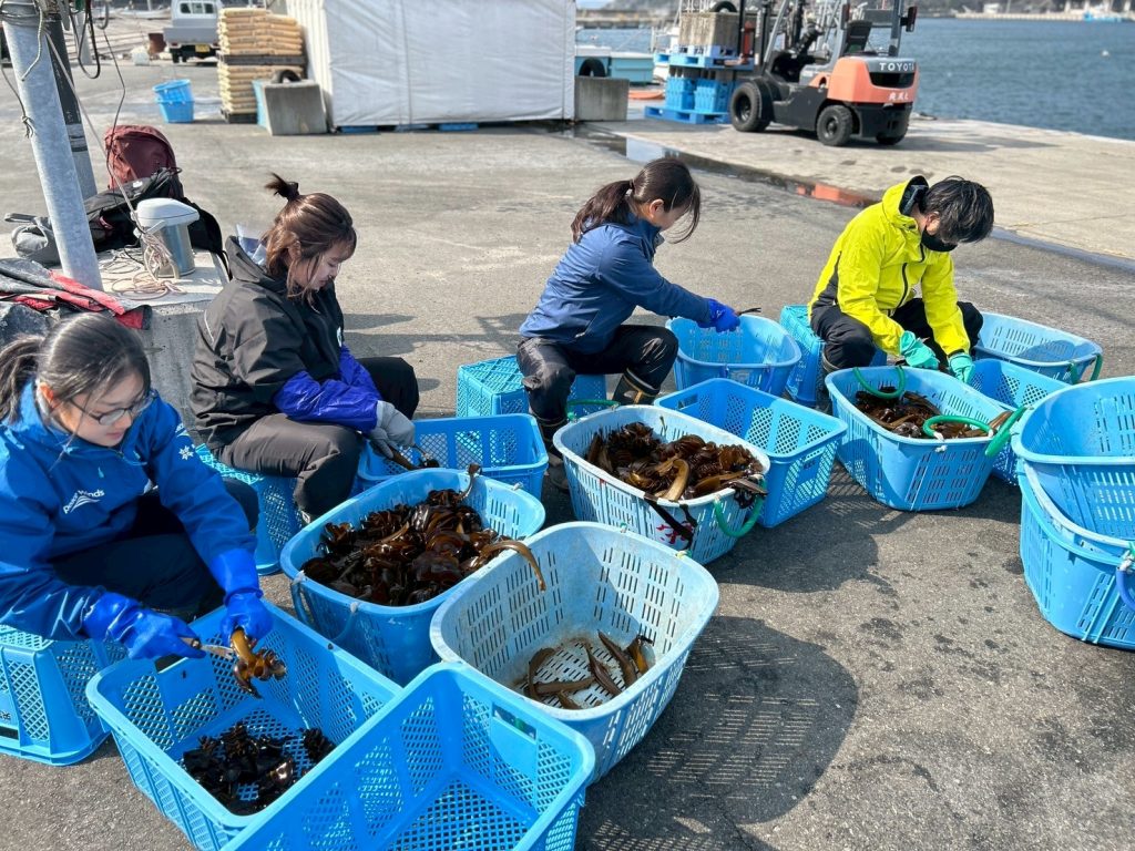 【岩手県大船渡市 山火事】春の訪れを告げるワカメ漁を支える。なりわい支援を通して学ぶ被災地の魅力 13 LINE ALBUM 20250326 250328 6