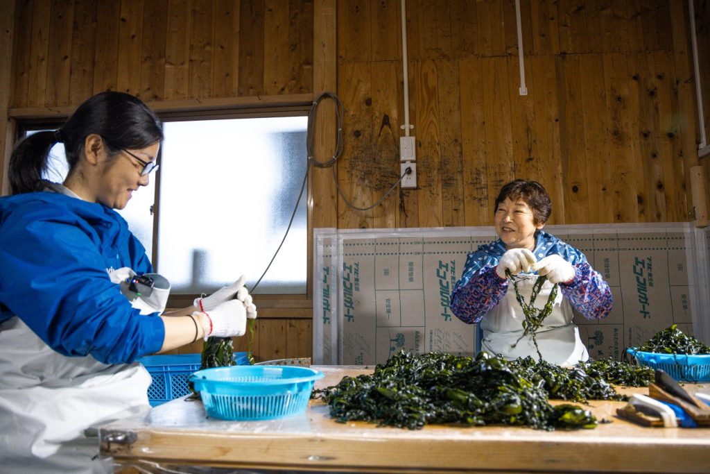 【岩手県大船渡市 山火事】春の訪れを告げるワカメ漁を支える。なりわい支援を通して学ぶ被災地の魅力 14 PW C3000