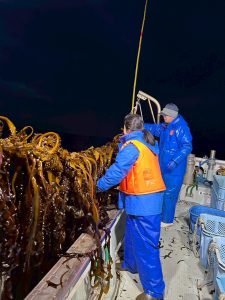 【岩手県大船渡市 山火事】春の訪れを告げるワカメ漁を支える。なりわい支援を通して学ぶ被災地の魅力 16 LINE ALBUM 20250320%E3%80%9C%E5%A4%A7%E5%B9%B3%E5%AE%B6%E3%83%AF%E3%82%AB%E3%83%A1%E6%BC%81 250328 4