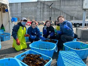 【岩手県大船渡市 山火事】春の訪れを告げるワカメ漁を支える。なりわい支援を通して学ぶ被災地の魅力 17 LINE ALBUM 20250326 250328 2