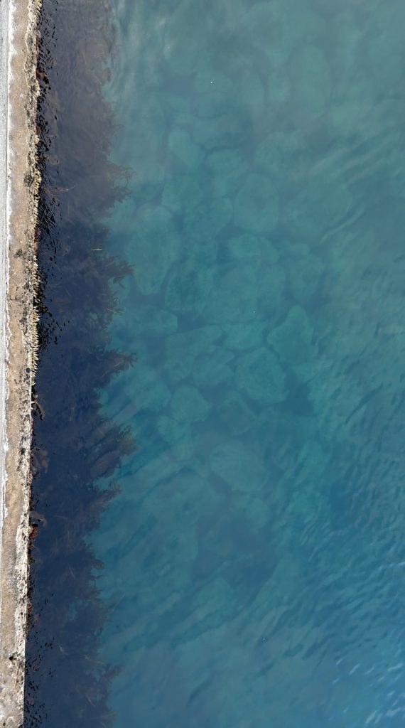 能登半島地震から1年半が経過。復旧・復興を支える支援レポート 11 飯田港の透き通る海の写真