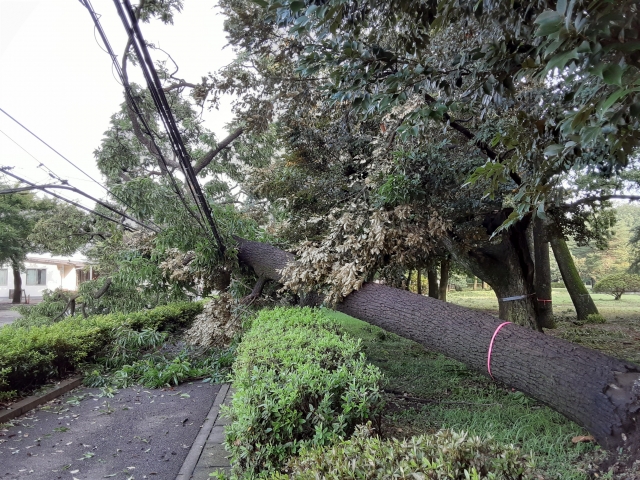 竜巻対策の基本|突風が発生する仕組みや被害事例から学ぶ身を守る方法 8 23681111 s