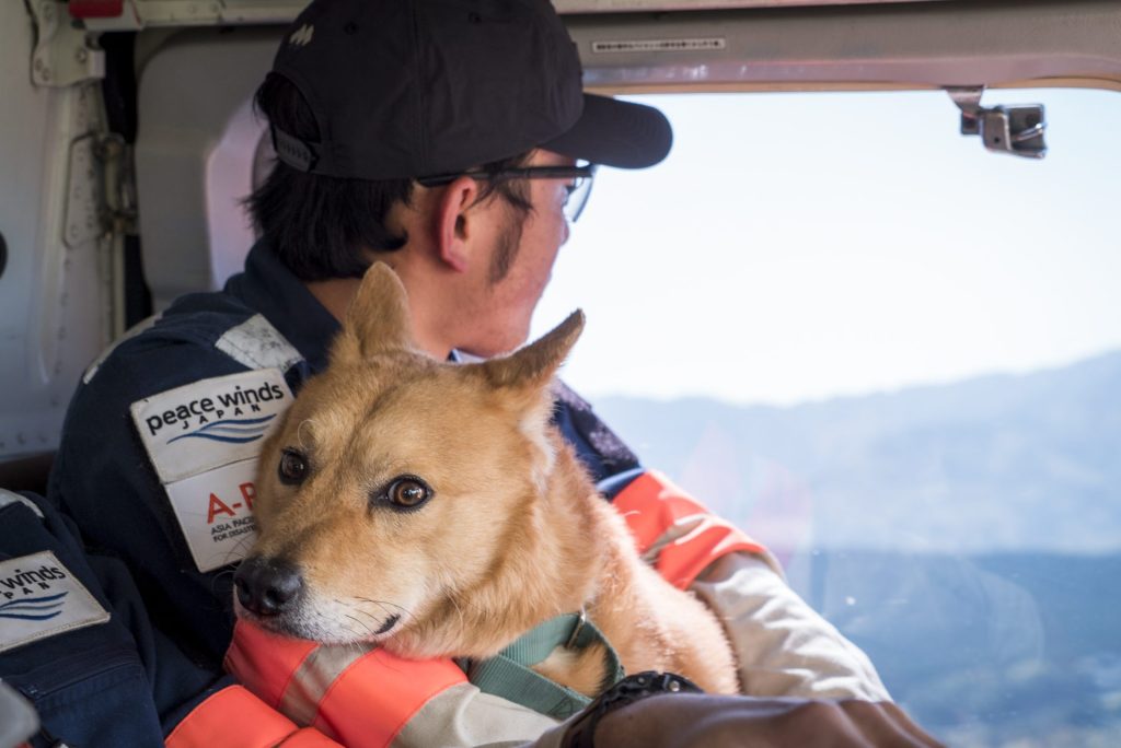 ヘリコプターで命を救う_ARROWSパイロットのリアルストーリー【#1】 16 DSC02081A