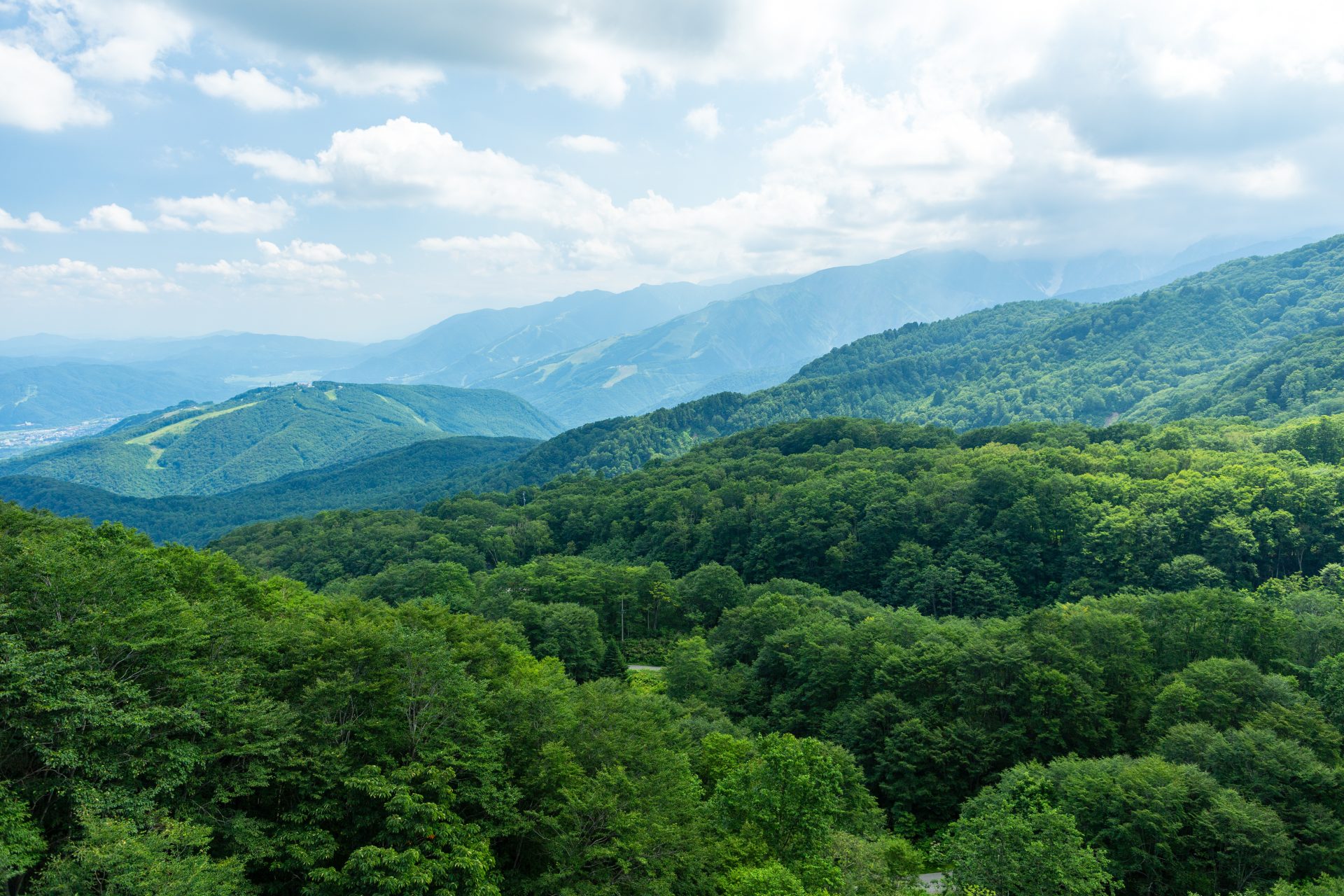 ヘリコプターで命を救う_ARROWSパイロットのリアルストーリー【#2】 4 AdobeStock 285245216