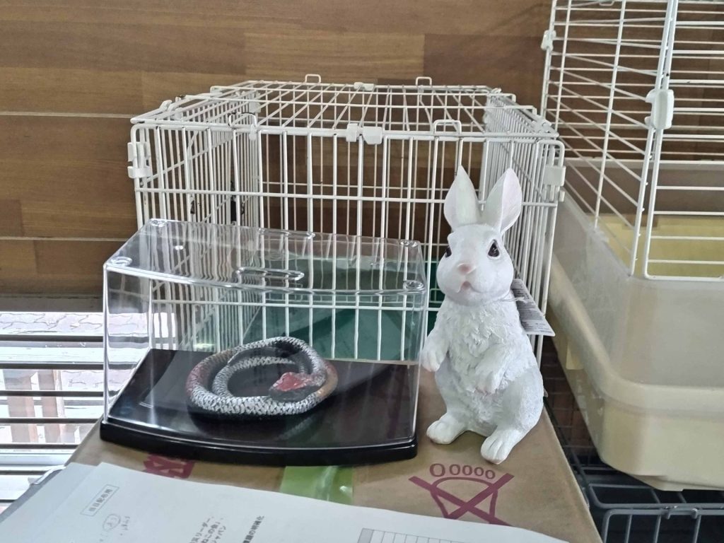 「もしもの時」に備えるリアルな2日間。稲葉からのレポート 〜長崎での災害医療・避難所訓練に参加して〜 4 DSC 1734