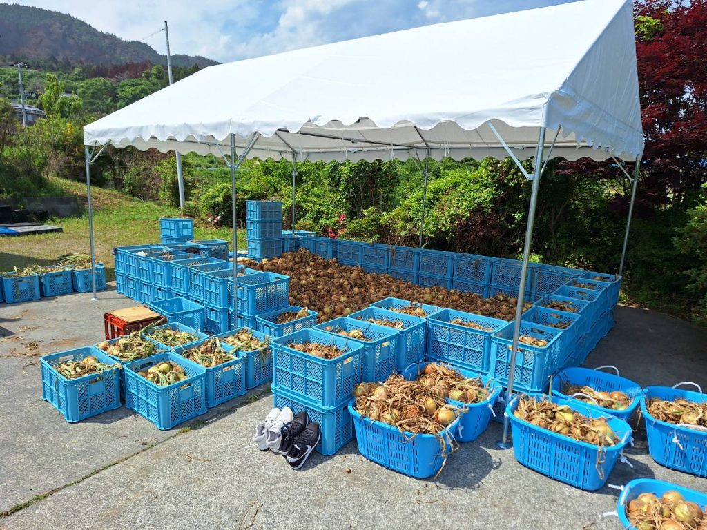 【岩手県大船渡市 山火事】山林火災を乗り越えて。被災地の「なりわい再建」に寄り添う支援 2 c8fc134df750e37a0becd07035f9e9f2