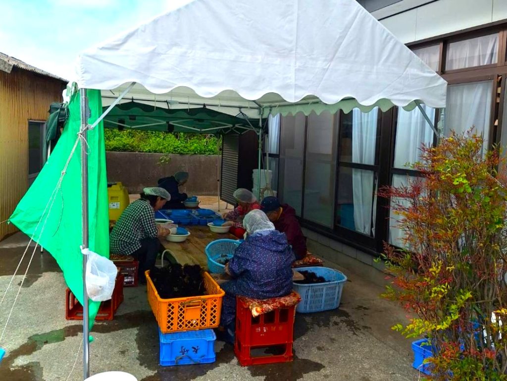 【岩手県大船渡市 山火事】山林火災を乗り越えて。被災地の「なりわい再建」に寄り添う支援 5 IMG 7188 20250616