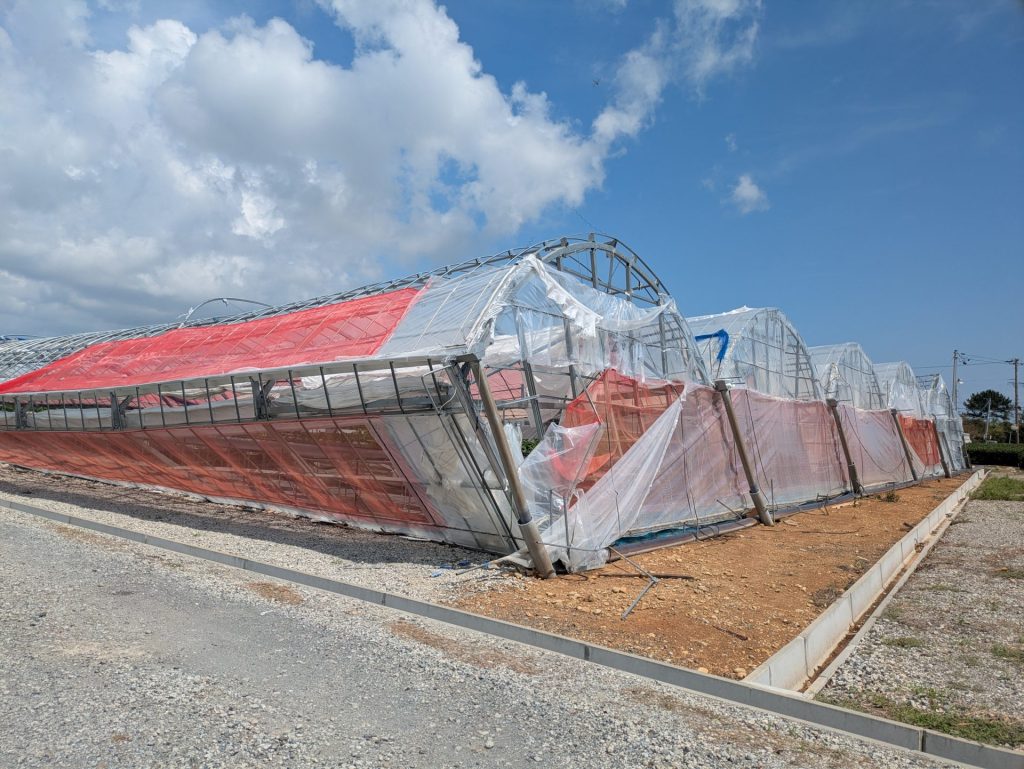 PXL 20250910 022322487