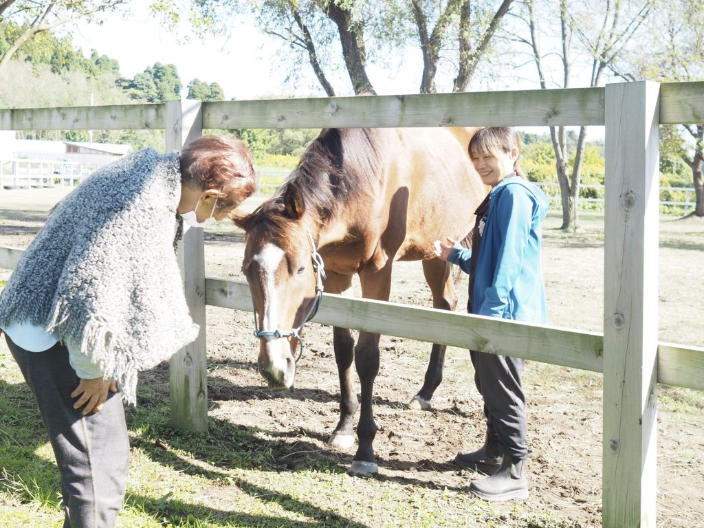 【メディア情報】引退競走馬に癒やされ 珠洲のホースパークで「お茶会」の模様が掲載されました 1 IMG 4768