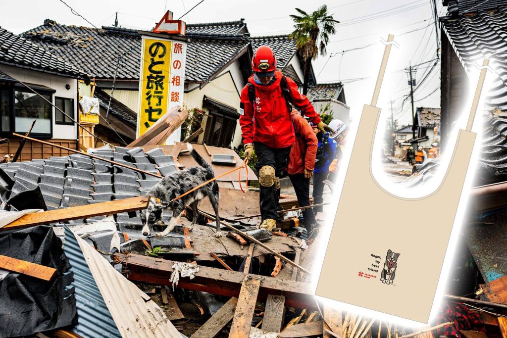 【限定500枚】新規ARROWSサポーター限定 3WAYマルシェバッグ進呈中! 1 ed9e4210994e96c1453fcb21c0187dcb