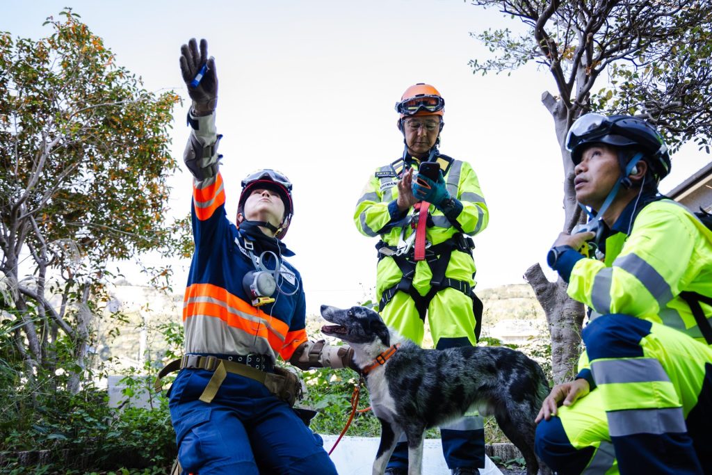 78264b032139c26f624cdc7aa31cfbb6