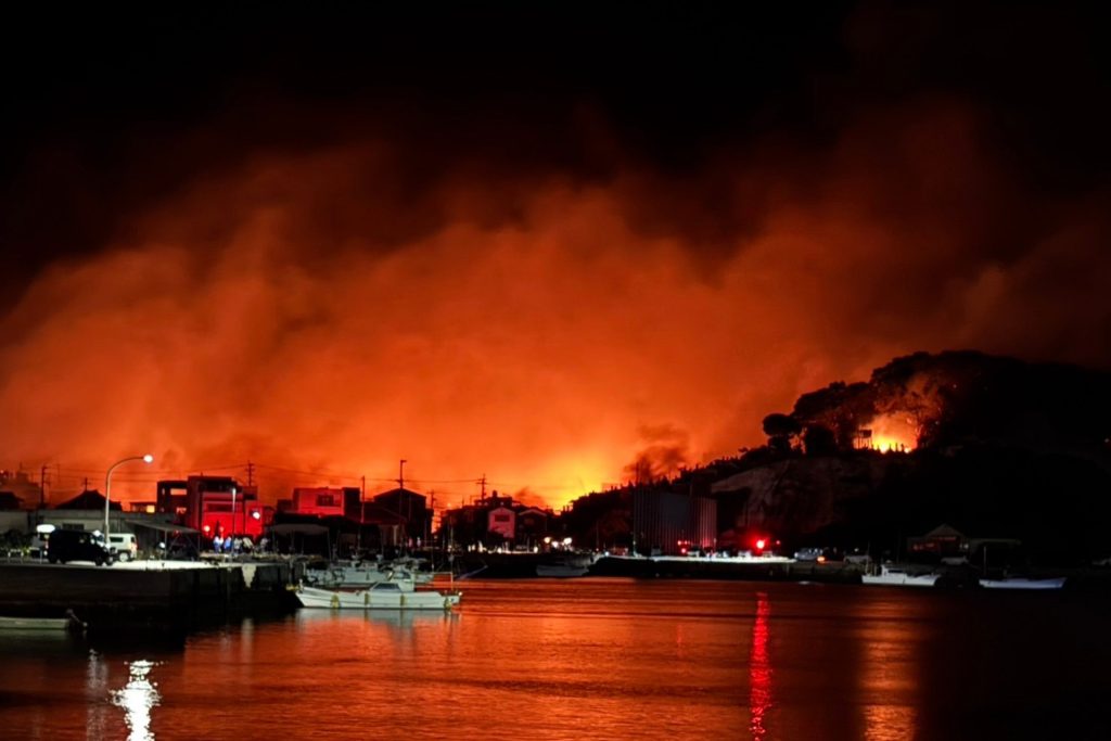 【大分市大規模火災 緊急支援】ペット支援チームを派遣し、地域と連携して捜索保護・物資支援を実施しました 1 2