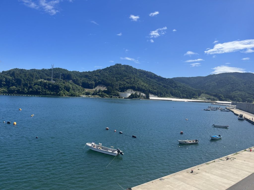 a795c8dd62823c5aded79e15b8cac7a5 1